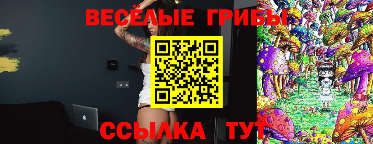 наркота  Псилоцибиновые грибы прущие грибы  Галлюциногенные грибы прущие грибы  Вход с VPN  Сальск 